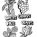 Raskrasil.com-Coloring-Pages-Sukkot-5