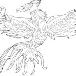 Raskrasil.com-Phoenix-coloring-pages-54