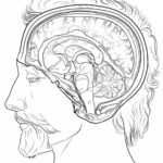 Raskrasil.com-Anatomy-Coloring-Pages-1