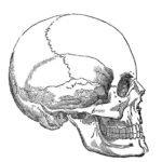 Previous Attachment