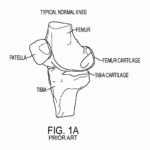 Raskrasil.com-Anatomy-Coloring-Pages-86