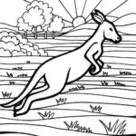 Raskrasil.com-Australia-Coloring-Pages-12