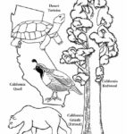 Raskrasil.com-California-Coloring-Pages-11