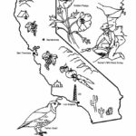 Raskrasil.com-California-Coloring-Pages-18