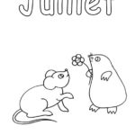 Raskrasil.com-Coloriage-Juillet-13