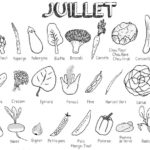 Raskrasil.com-Coloriage-Juillet-17