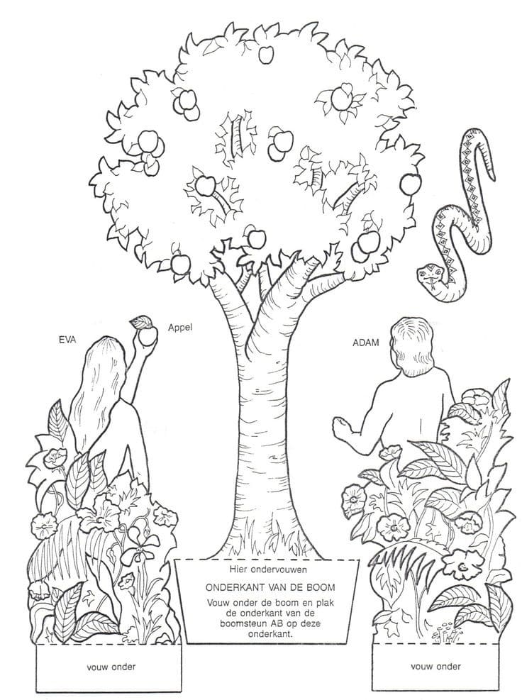 Raskrasil.com-Coloring-Pages-Adam-and-Eve-20