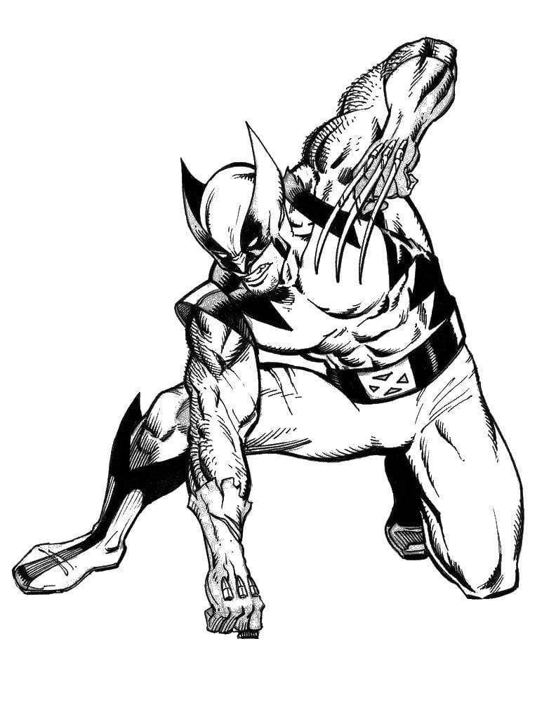 Raskrasil.com-Coloring-Pages-Wolverine-25