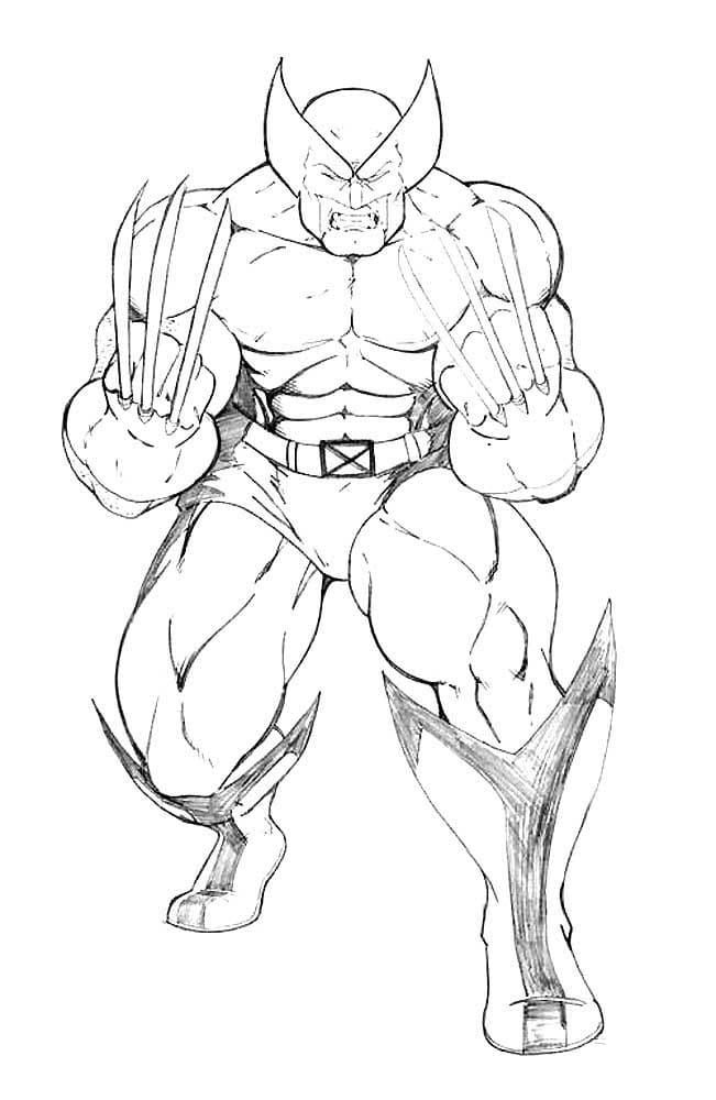 Raskrasil.com-Coloring-Pages-Wolverine-45