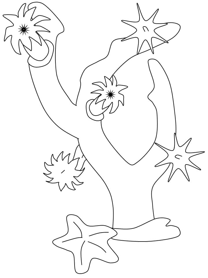 Raskrasil.com-Coral-Reef-Coloring-Page-100