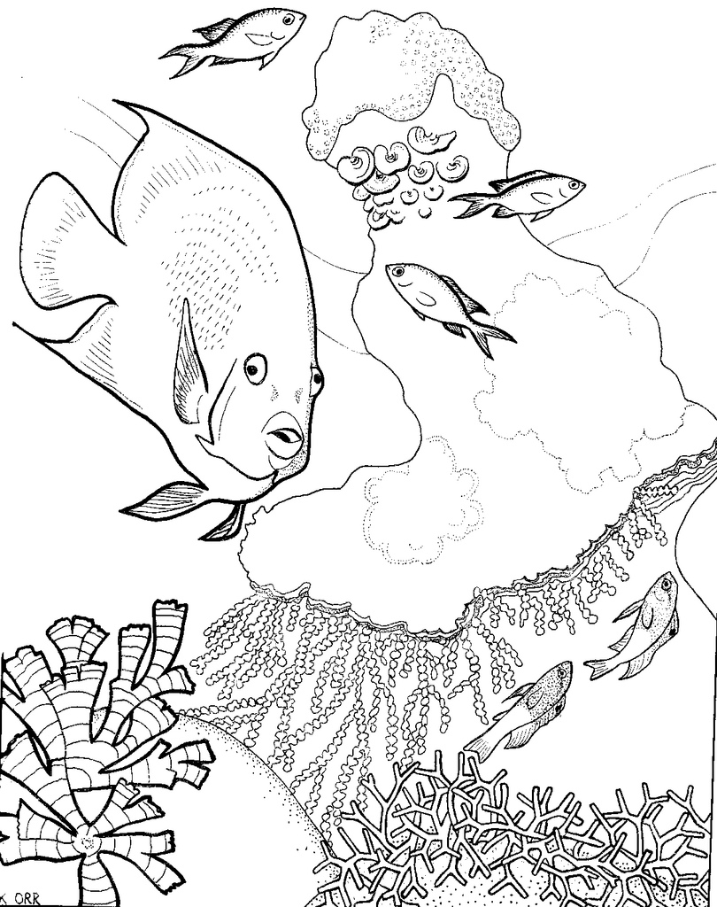 Raskrasil.com-Coral-Reef-Coloring-Page-104