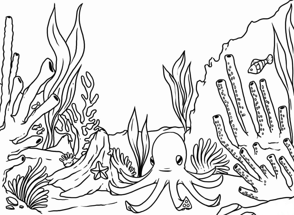 Raskrasil.com-Coral-Reef-Coloring-Page-45