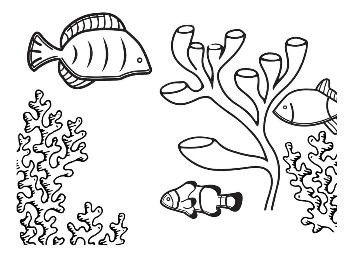 Raskrasil.com-Coral-Reef-Coloring-Page-54