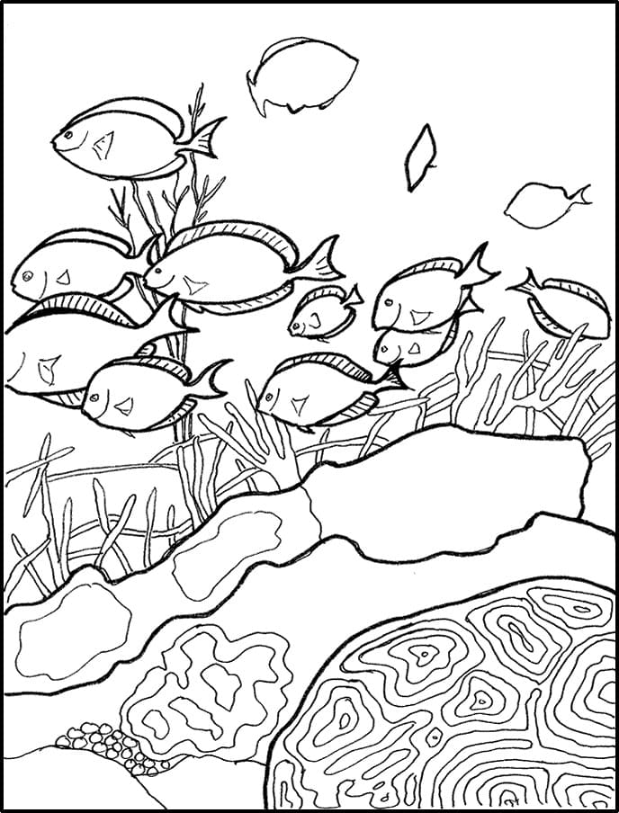 Raskrasil.com-Coral-Reef-Coloring-Page-88