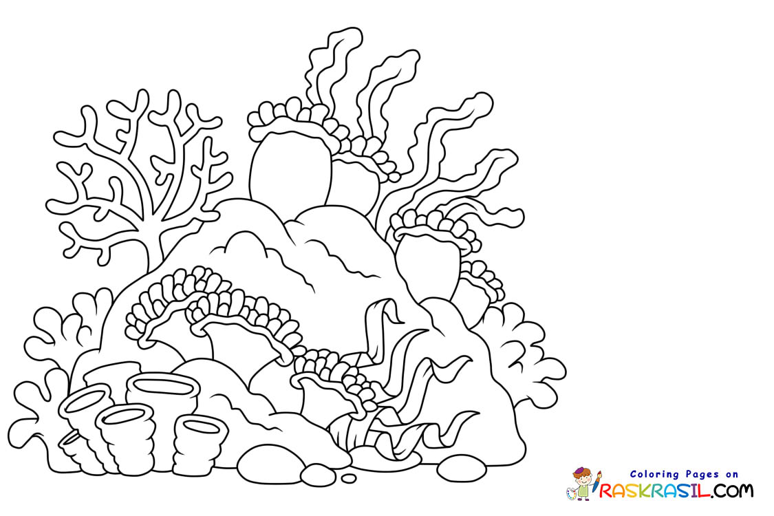 Raskrasil.com-Coral-Reef-New-Coloring-Pages-10