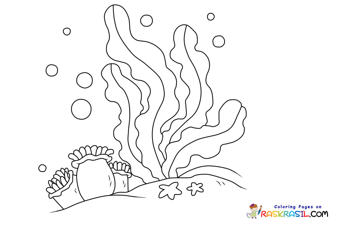 Raskrasil.com-Coral-Reef-New-Coloring-Pages-8