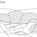 Raskrasil.com-England-Colouring-Pages-7