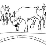 Raskrasil.com-Goat-Coloring-Pages-21