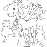 Raskrasil.com-Goat-Coloring-Pages-26