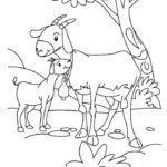 Raskrasil.com-Goat-Coloring-Pages-28