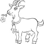 Raskrasil.com-Goat-Coloring-Pages-31