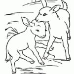 Raskrasil.com-Goat-Coloring-Pages-32