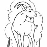 Raskrasil.com-Goat-Coloring-Pages-39