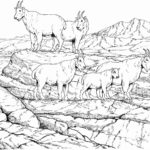 Raskrasil.com-Goat-Coloring-Pages-40