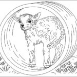 Previous Attachment