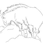 Raskrasil.com-Goat-Coloring-Pages-48