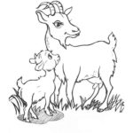 Previous Attachment