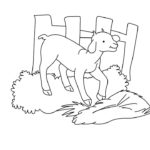 Raskrasil.com-Goat-Coloring-Pages-56