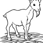 Raskrasil.com-Goat-Coloring-Pages-57