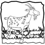 Raskrasil.com-Goat-Coloring-Pages-58