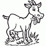 Raskrasil.com-Goat-Coloring-Pages-67