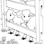 Raskrasil.com-Goat-Coloring-Pages-74