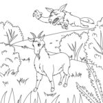 Raskrasil.com-Goat-Coloring-Pages-78