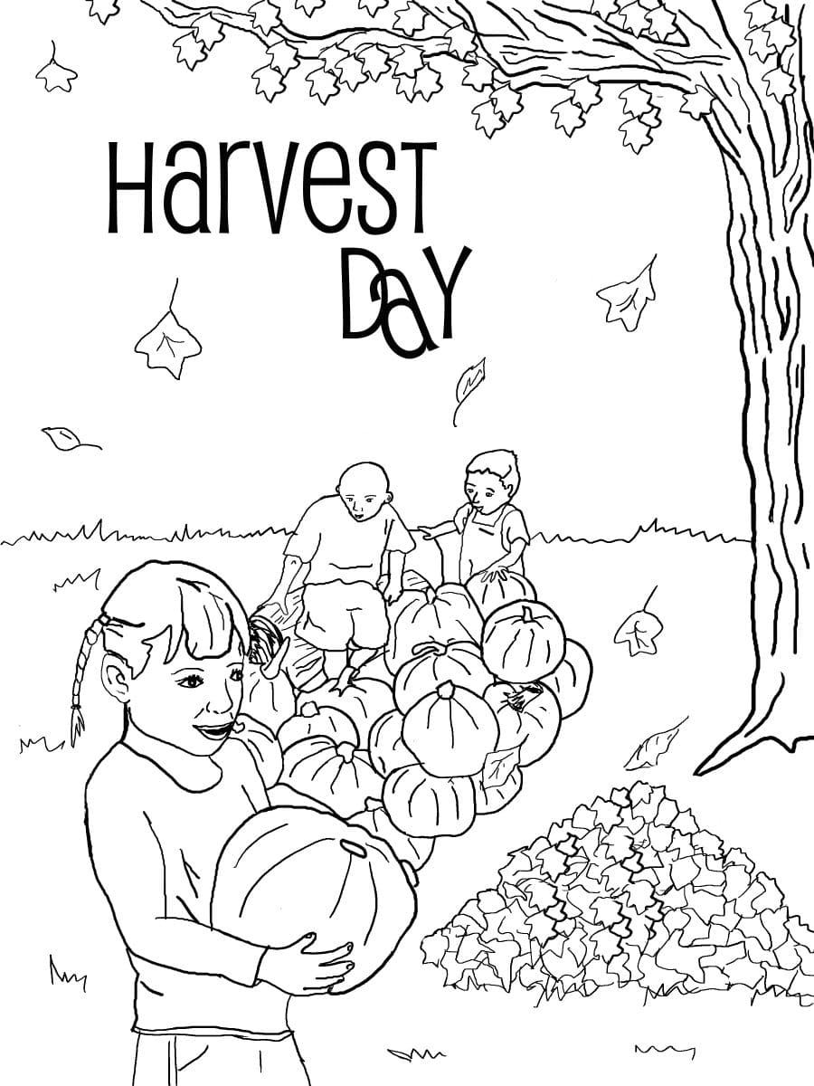 Harvest Coloring Pages