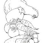 Raskrasil.com-Harvest-Coloring-Pages-43