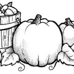 Raskrasil.com-Harvest-Coloring-Pages-6