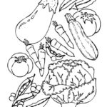 Raskrasil.com-Harvest-Coloring-Pages-65