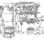 Raskrasil.com-Harvest-Coloring-Pages-77