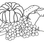Raskrasil.com-Harvest-Coloring-Pages-8