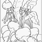 Raskrasil.com-Harvest-Coloring-Pages-88