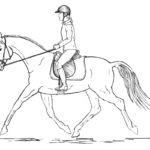 Raskrasil.com-Horse-And-Rider-Coloring-Pages-29
