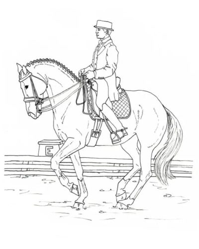 Ausmalbilder Pferde und Reiten | Malvorlagen zum Ausdrucken