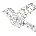 Raskrasil.com-Hummingbird-Coloring-Pages-83