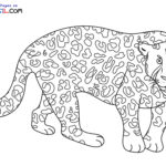 Raskrasil.com-Leopard-New-Coloring-Pages-6