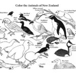 Raskrasil.com-New-Zealand-Coloring-Pages-1