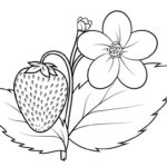 Raskrasil.com-Plants-Coloring-Pages-10